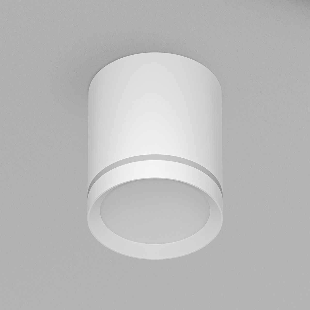 Накладной светодиодный светильник Denkirs Ribe DK4016-WH 4