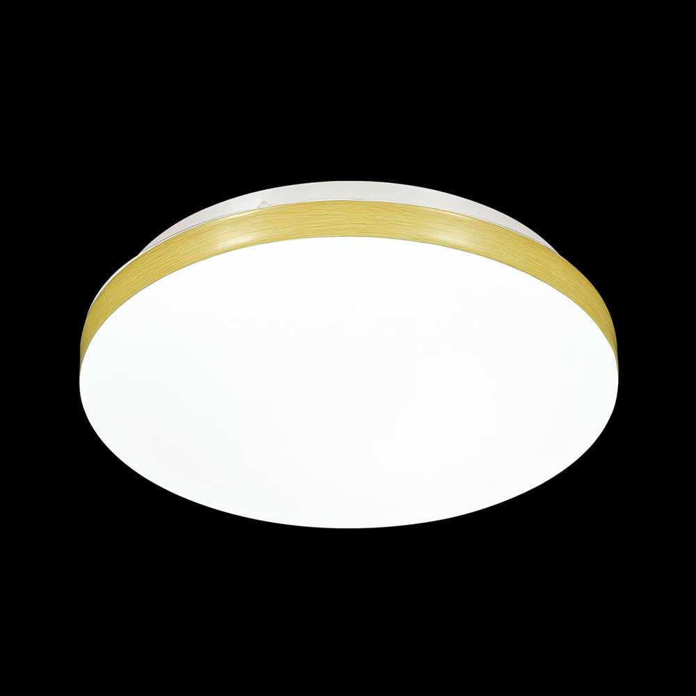 Настенно-потолочный светодиодный светильник Sonex Mini Smalli 3066/AL 2