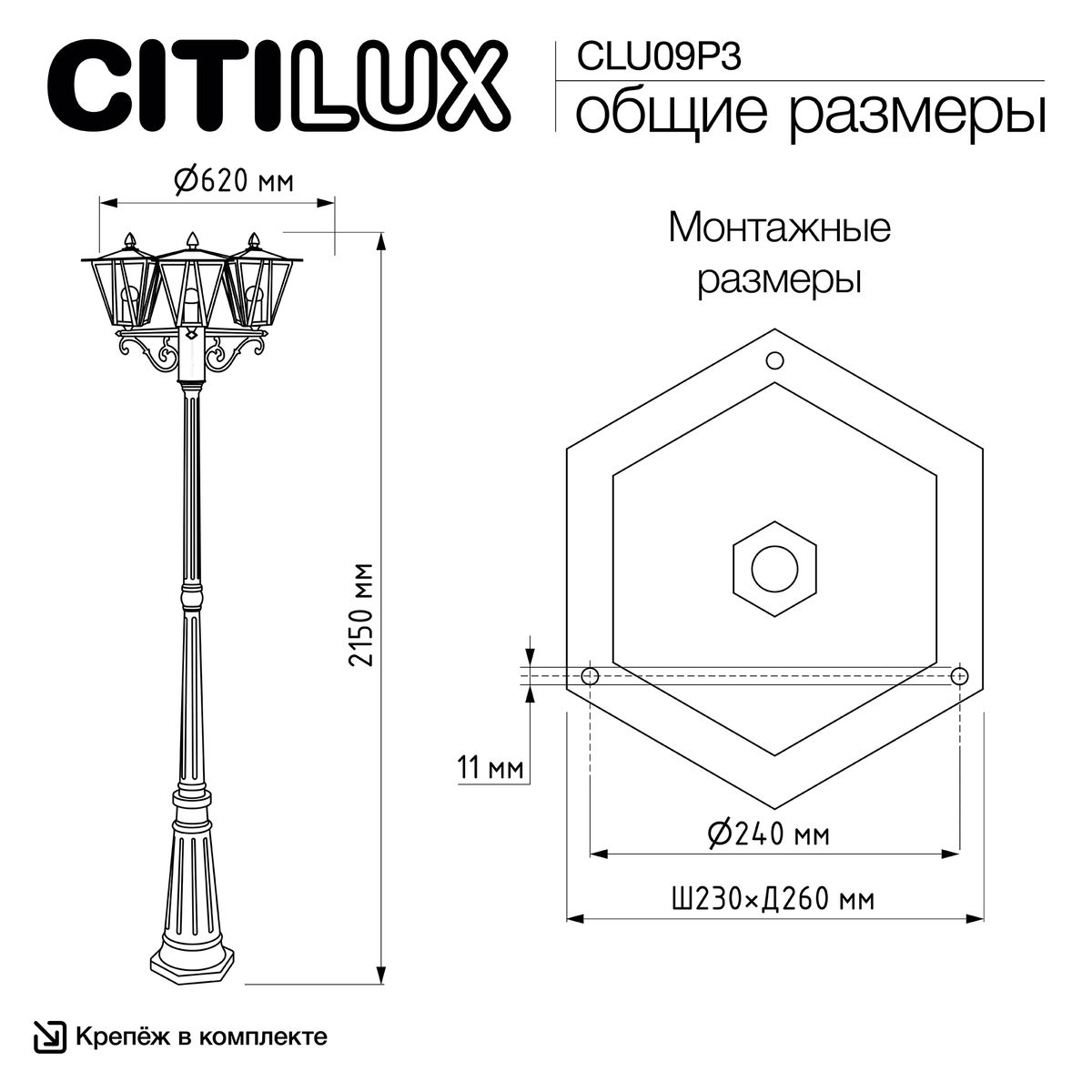 Садово-парковый светильник Citilux Forts CLU09P3 2