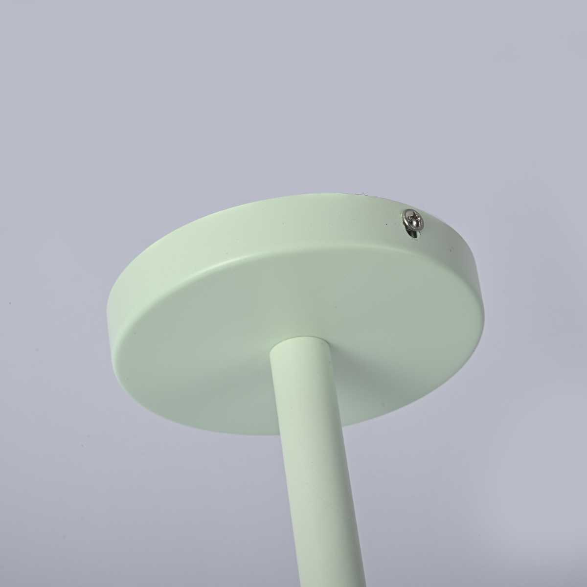 Подвесная люстра Imperium Loft Natura 177992-26 3