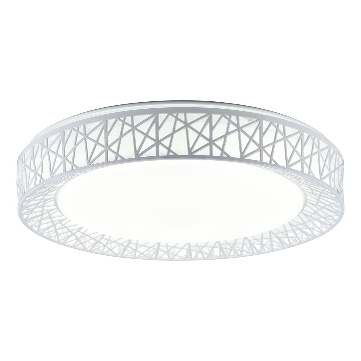 Потолочный светодиодный светильник Toplight Diana TL1204X-72WH