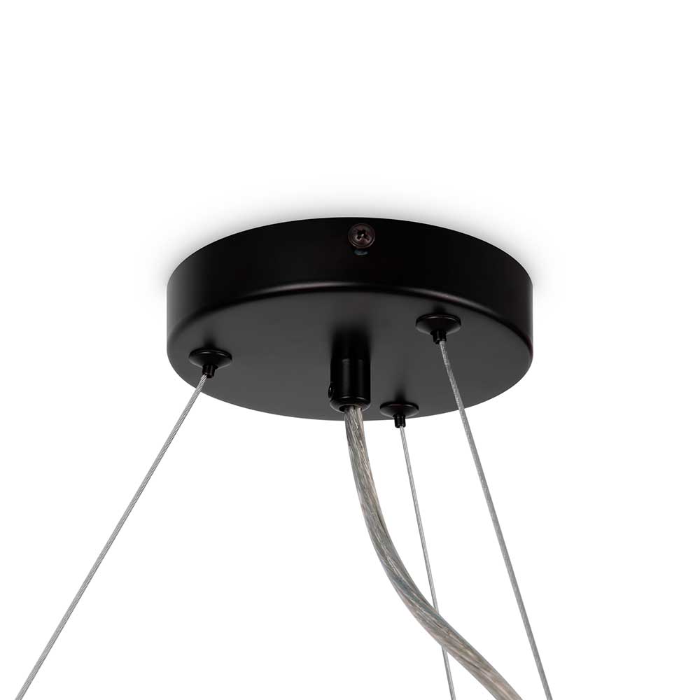 Подвесная люстра Maytoni Dallas MOD545PL-25B 5