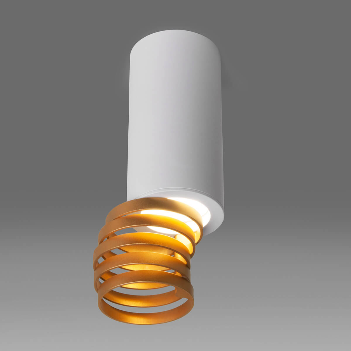 Потолочный светильник Elektrostandard DLN102 GU10 белый/золото a047748 2