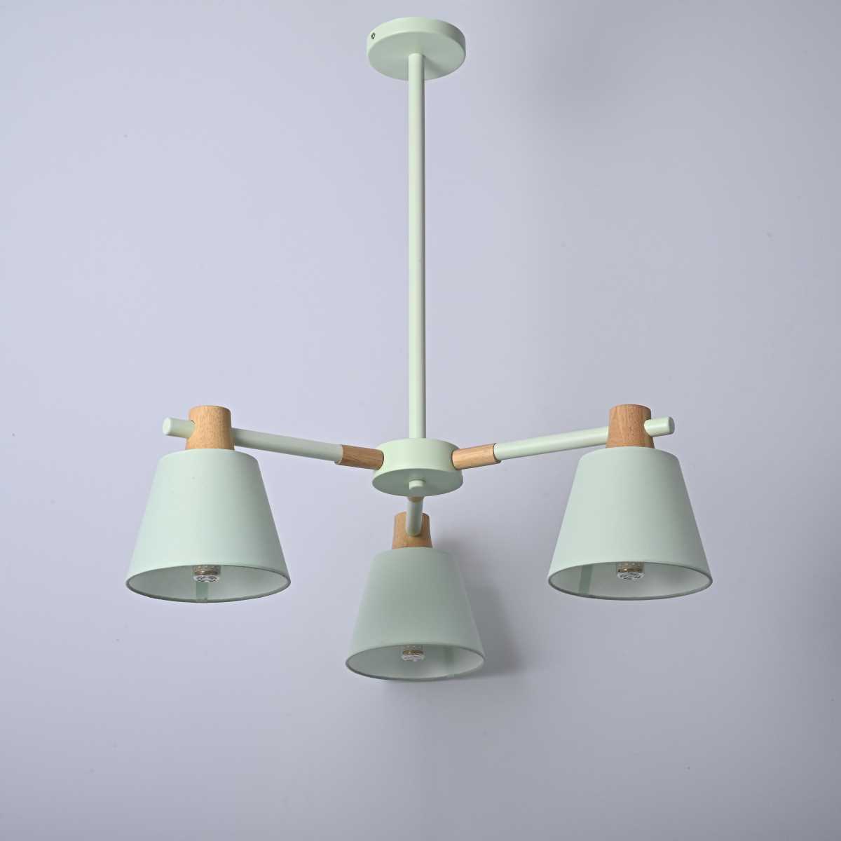 Подвесная люстра Imperium Loft Natura 101824-26 5