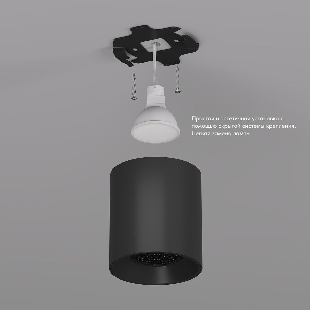 Накладной светильник Denkirs Rodvig DK3090-BK 2