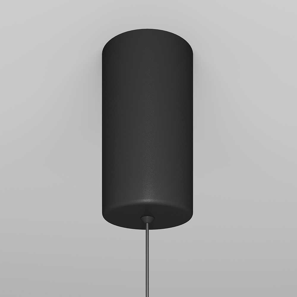 Подвесной светильник Maytoni Ray P022PL-L10B 2