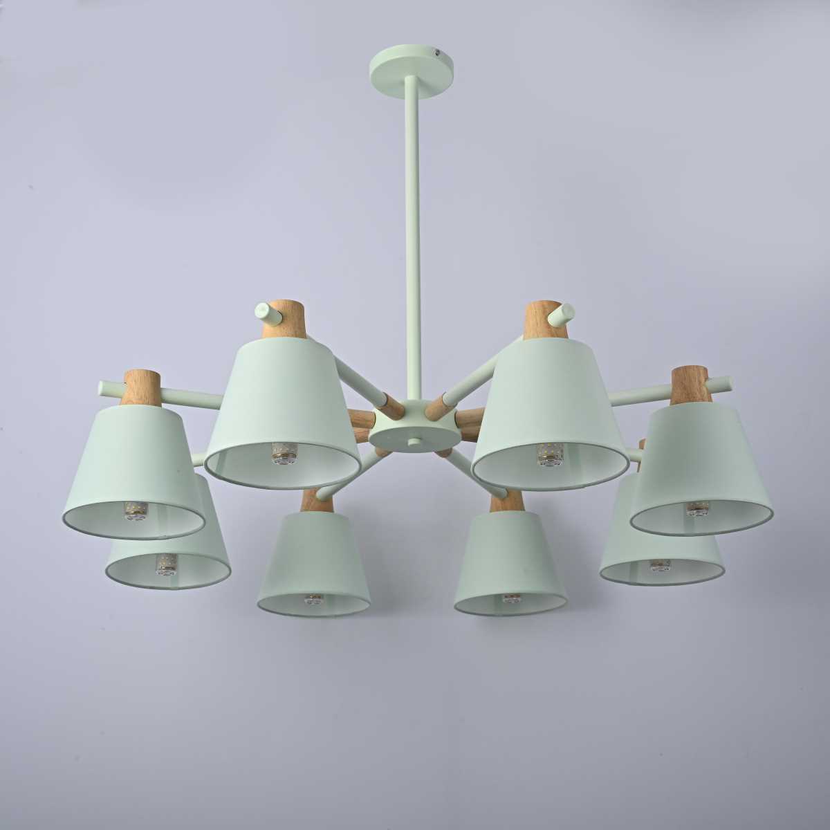 Подвесная люстра Imperium Loft Natura 177992-26 4