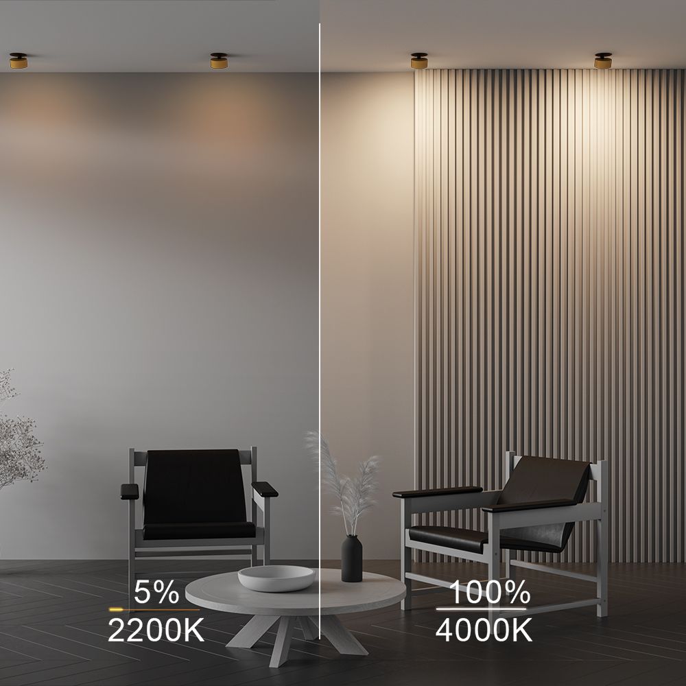 Встраиваемый светодиодный спот Maytoni Technical Onda DL024-12W-DTW-BMG 1