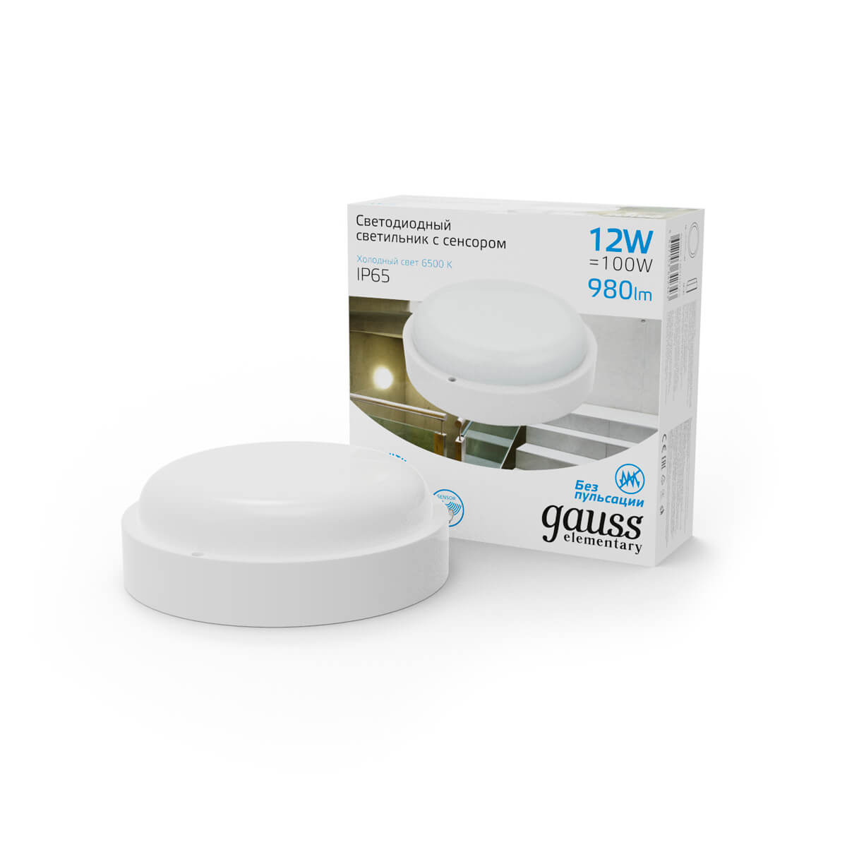 Уличный светодиодный светильник Gauss 126411312-S 1