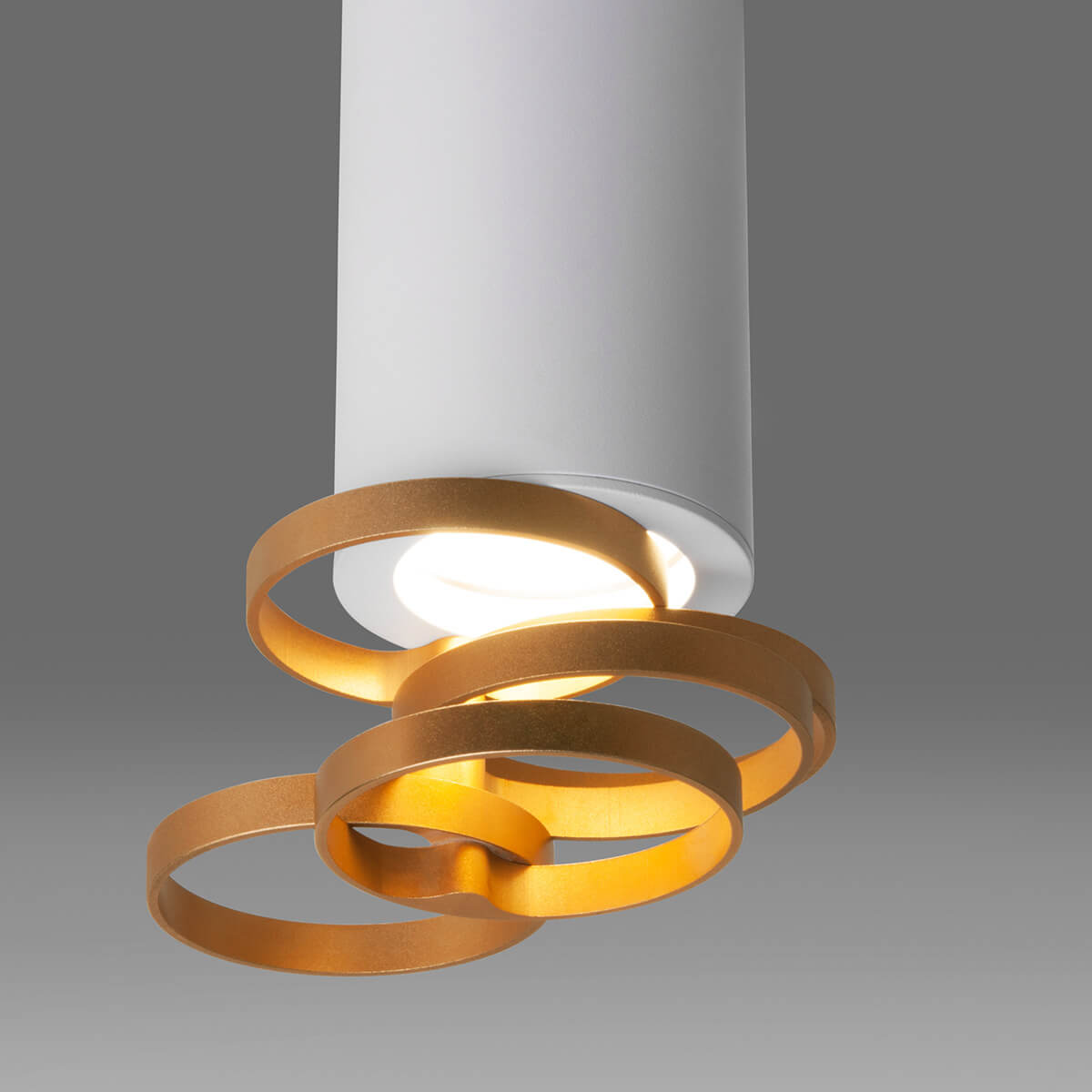 Потолочный светильник Elektrostandard DLN102 GU10 белый/золото a047748 3