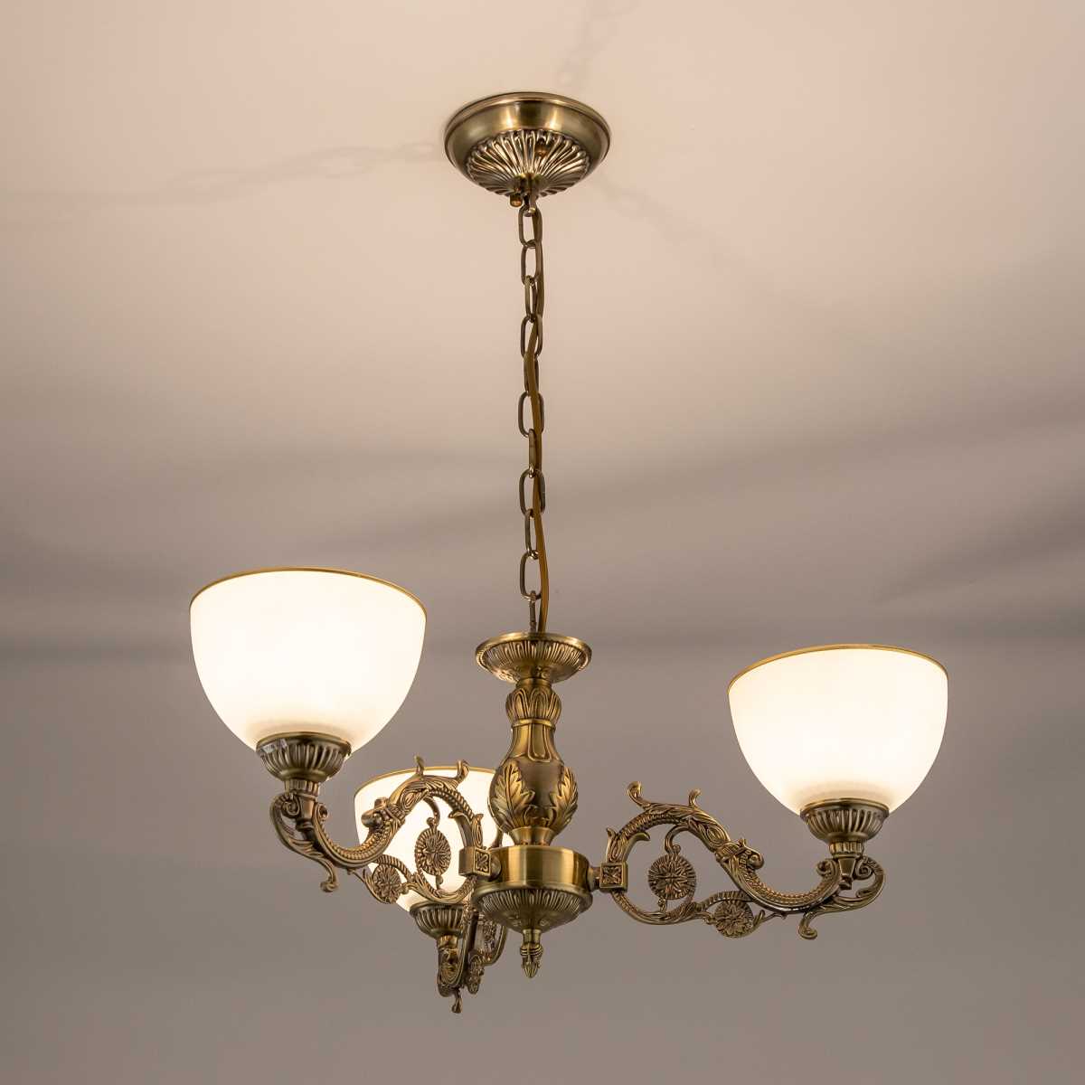 Подвесная люстра Citilux Адриана CL405233 2