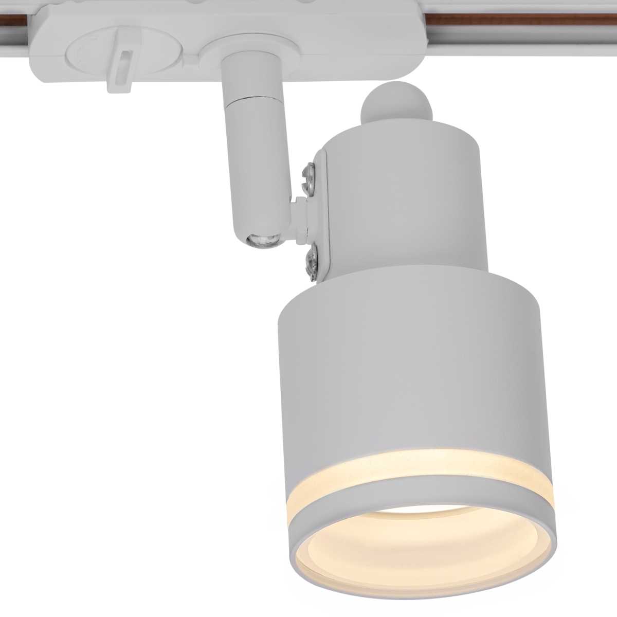 Трековый светильник Citilux Bruno CL565T10 3