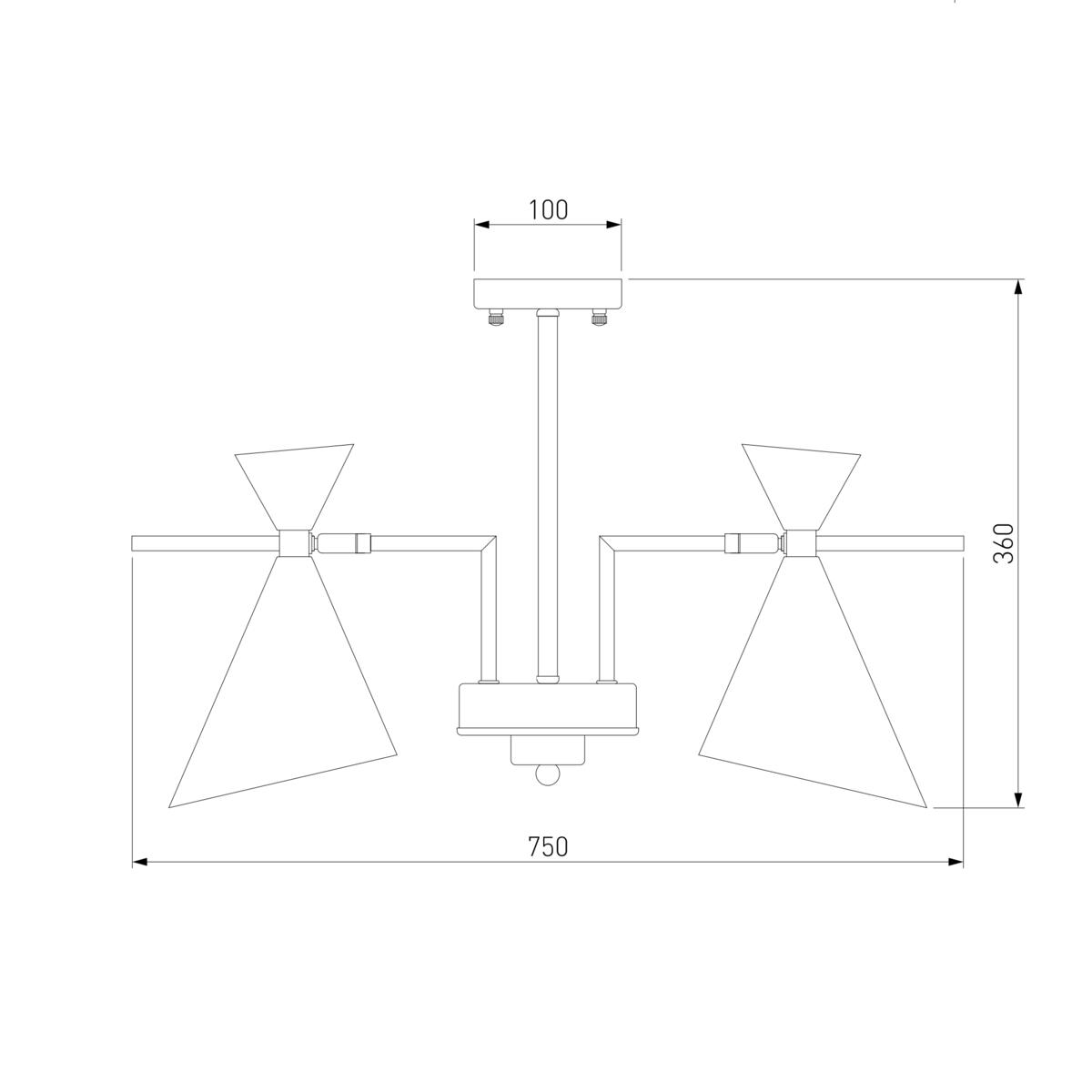 Потолочная люстра Eurosvet Apart 70114/5 белый 1
