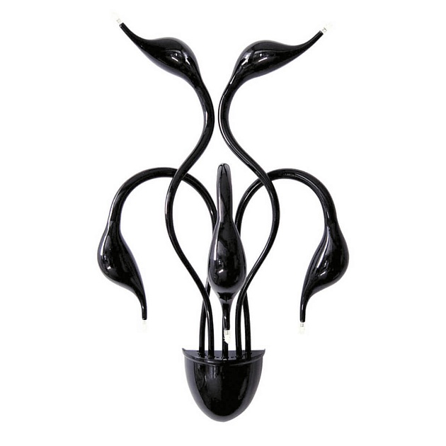 Бра Lightstar Cigno Collo Bk 751657 изображение 1 Бра Lightstar Cigno Collo Bk 751657 Фото № 1