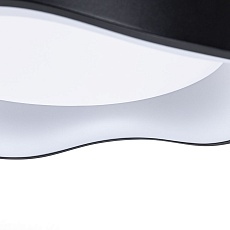 Потолочный светодиодный светильник Arte Lamp Ankaa A3085PL-48BK 1