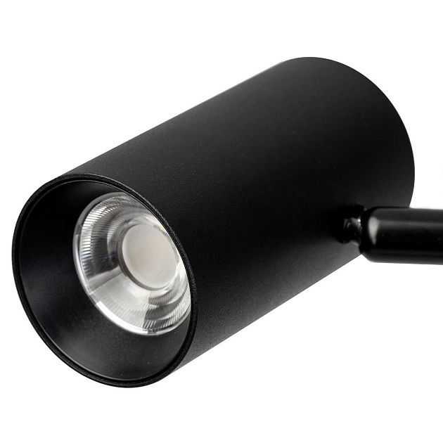 Торшер Citilux CL809011N Фото № 3