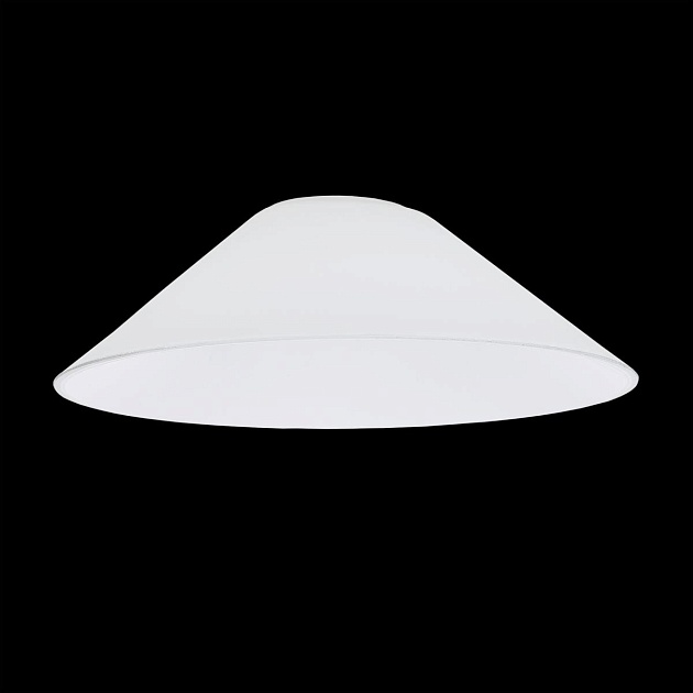 Плафон Citilux Эдисон CL450.12 изображение 2 Плафон Citilux Эдисон CL450.12 Фото № 2