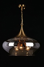 Подвесная люстра Aployt Franko APL.601.16.03 3