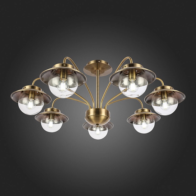 Потолочная люстра Evoluce Garonni SLE110102-07 Фото № 5