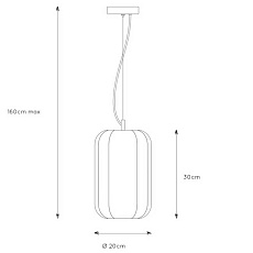 Подвесной светильник Lucide Fern 25409/01/30 1