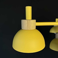 Подвесная люстра Imperium Loft Fanta 101568-26 2