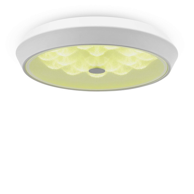 Потолочный светодиодный светильник Freya Cells FR10012CL-L24W Фото № 13