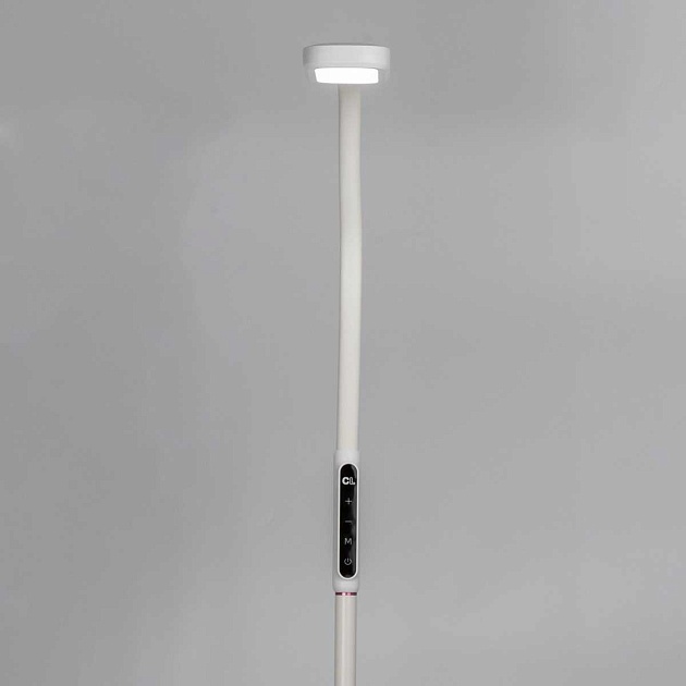 Торшер Citilux Марк CL804020 Фото № 7