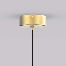 Подвесной светодиодный светильник Favourite Wilet 4657-1P 2