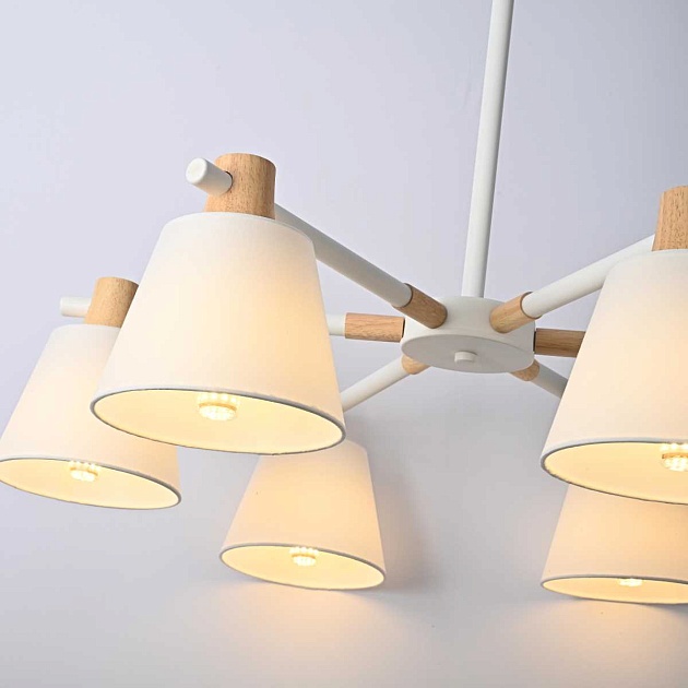 Подвесная люстра Imperium Loft Natura 177987-26 Фото № 10