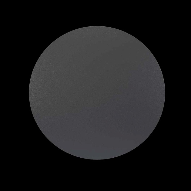 Уличный настенный светодиодный светильник Maytoni Wald O420WL-L12GF Фото № 5