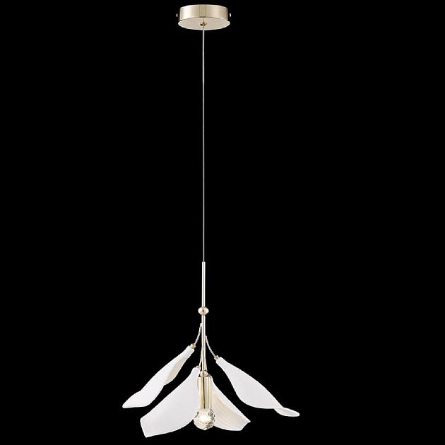 Подвесной светильник Wertmark Miranda WE123.01.306 Фото № 1