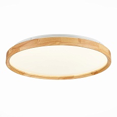 Потолочный сетодиодный светильник Evoluce Delia SLE201382-01 3