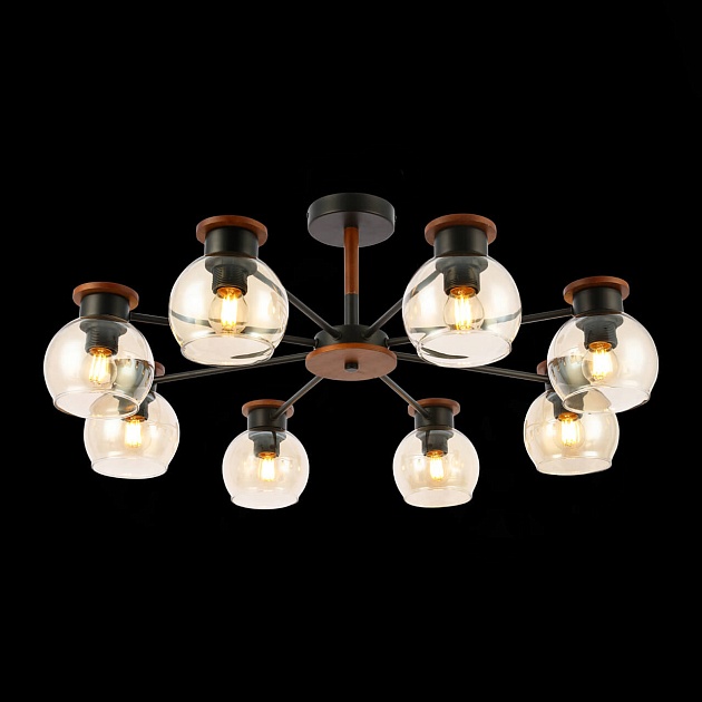 Потолочная люстра Evoluce Rasco SLE108102-08 изображение 5 Потолочная люстра Evoluce Rasco SLE108102-08 Фото № 5