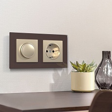 Розетка с заземлением и шторками Werkel шампань W1171111 4690389157387 4