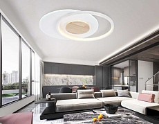 Светильник потолочный Ambrella light COMFORT FL4788 2