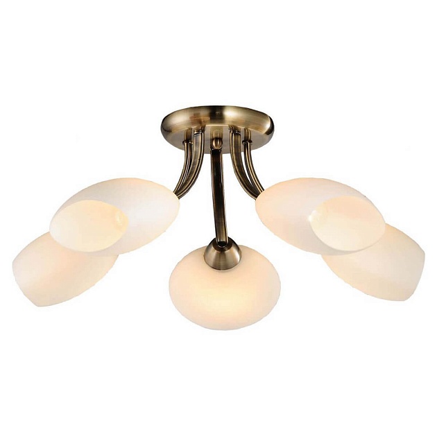 Потолочная люстра Lussole Lgo GRLSP-0189 Фото № 1