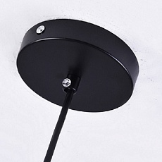 Подвесной светодиодный светильник Imperium Loft Shid 154904-60 3