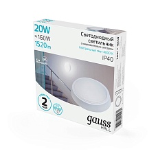 Настенно-потолочный светодиодный светильник Gauss Hall 193411220-S 2