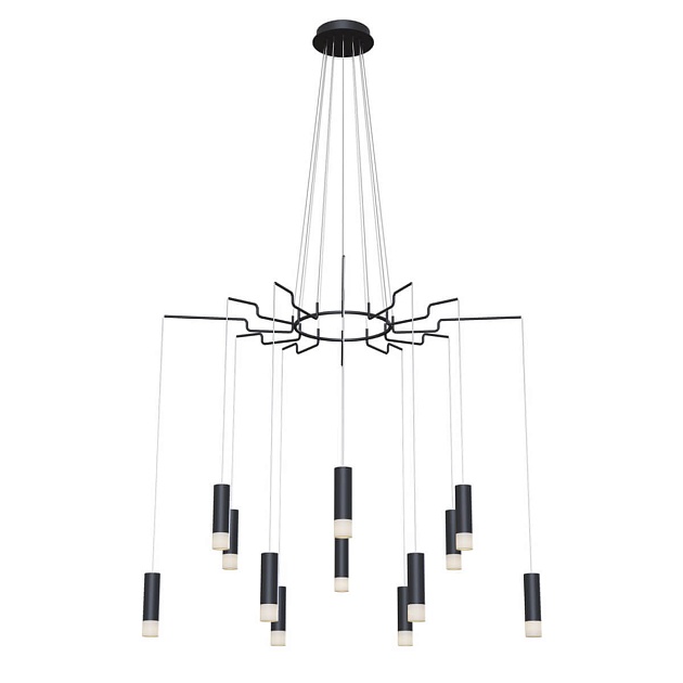 Подвесная люстра Maytoni Davida MOD035PL-12B Фото № 1