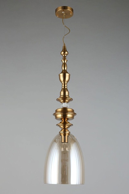 Подвесной светильник Aployt Rena APL.602.06.01 Фото № 6