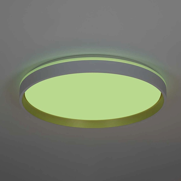 Светильник потолочный Citilux ENZO CL753510G изображение 11 Светильник потолочный Citilux ENZO CL753510G Фото № 11