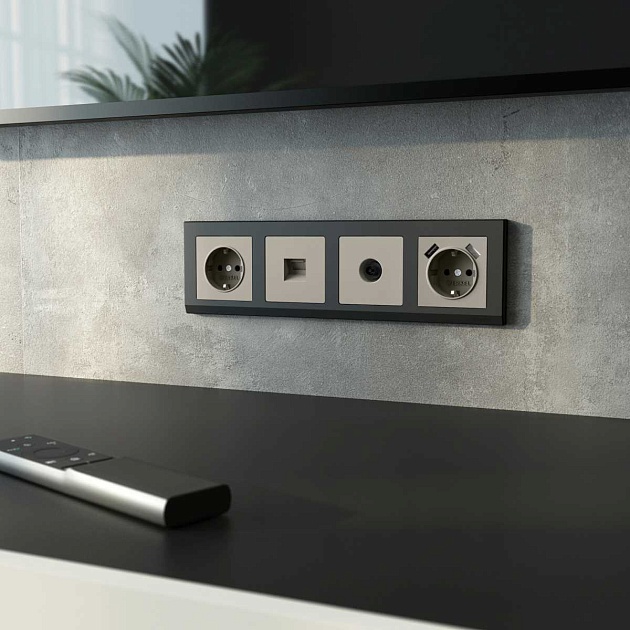 ТВ-розетка оконечная (дымчатый) W1283004/ a069469 Фото № 2