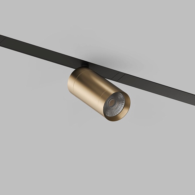 Трековый светодиодный светильник Denkirs Smart Spot DK8010-BG Фото № 5