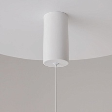 Подвесной светильник Maytoni Ray P022PL-L20W3K 2