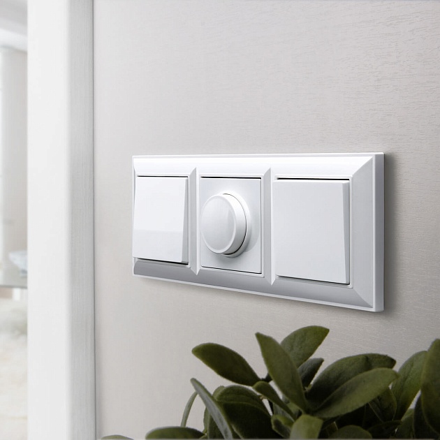 Выключатель одноклавишный проходной Werkel белый W1112001 4690389155055 Фото № 7