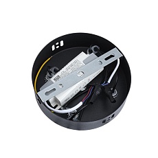 Люстра подвесная Lumion OVELA 8342/40L 1