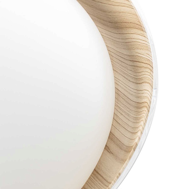 Потолочный светодиодный светильник Citilux Mega CL752452G изображение 11 Потолочный светодиодный светильник Citilux Mega CL752452G Фото № 11