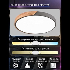 Потолочная люстра Natali Kovaltseva LED LAMPS 81183 1