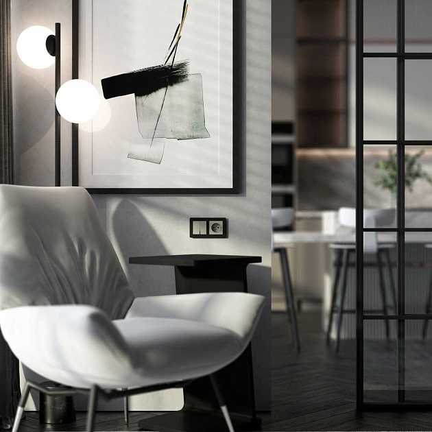 Розетка с заземлением (дымчатый) W1271004/ a069462 Фото № 6