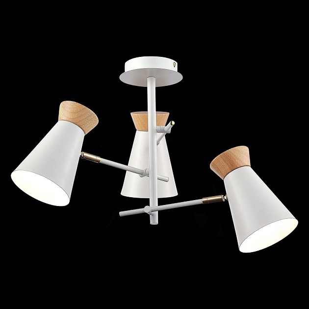 Потолочная люстра Evoluce Alfeo SLE1252-502-03 изображение 4 Потолочная люстра Evoluce Alfeo SLE1252-502-03 Фото № 4